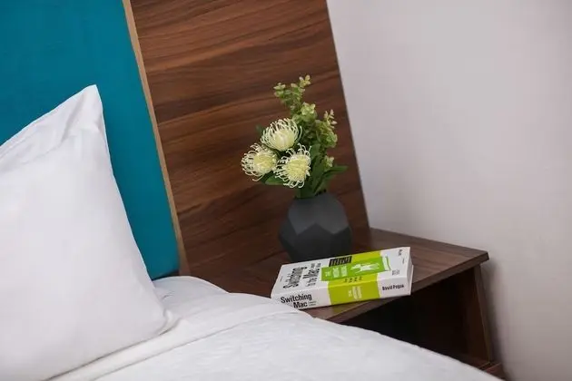 Basic Tek Büyük Yataklı Oda, Şehir Manzaralı
