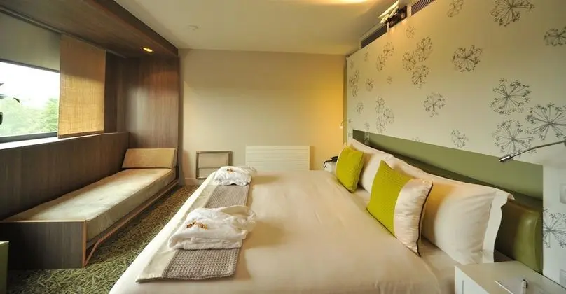 Executive Oda, 1 Büyük (Queen) Boy Yatak, Küvet