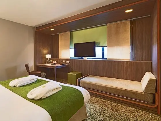 Executive Oda, 1 Büyük (Queen) Boy Yatak, Küvet