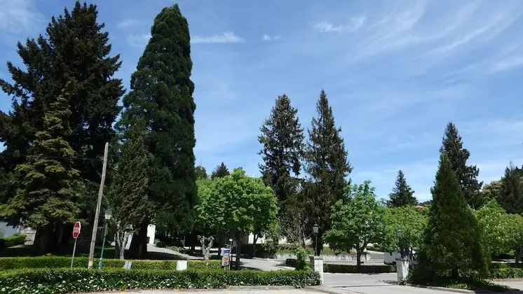 Standard Oda, 3 Tek Kişilik Yatak, Park Manzaralı