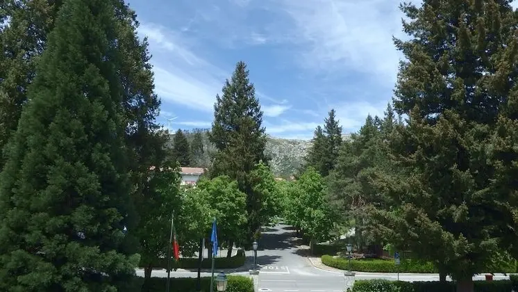 Standard Oda, 3 Tek Kişilik Yatak, Park Manzaralı