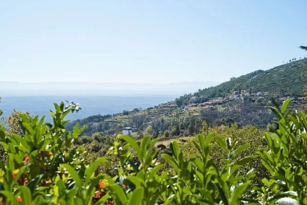 Superior Oda, 2 Tek Kişilik Yatak, Balkon, Dağ Manzaralı