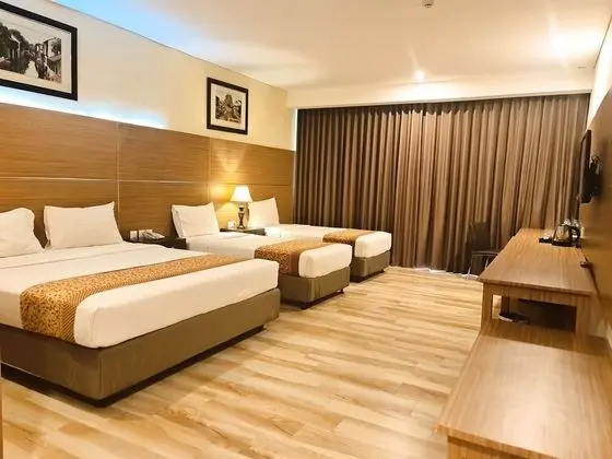 Deluxe Oda, Birden Çok Yatak, Balkon