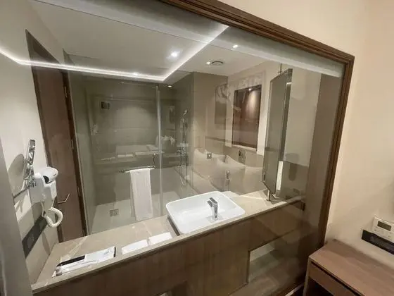 Deluxe İki Ayrı Yataklı Oda (King)