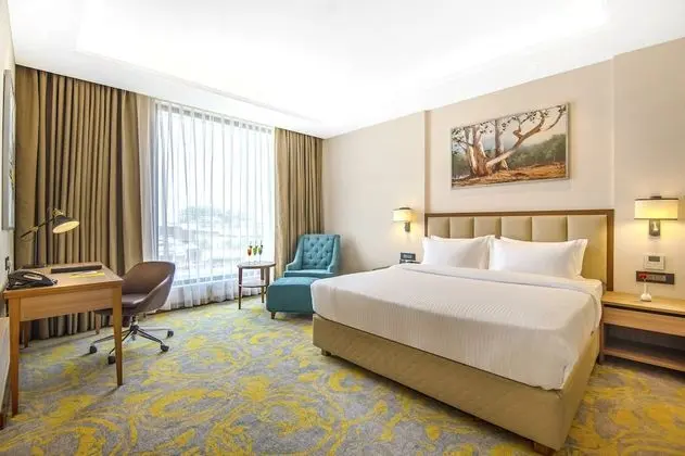 Premium King Room