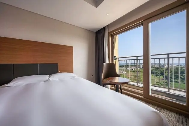 Deluxe Oda, Şehir Manzaralı