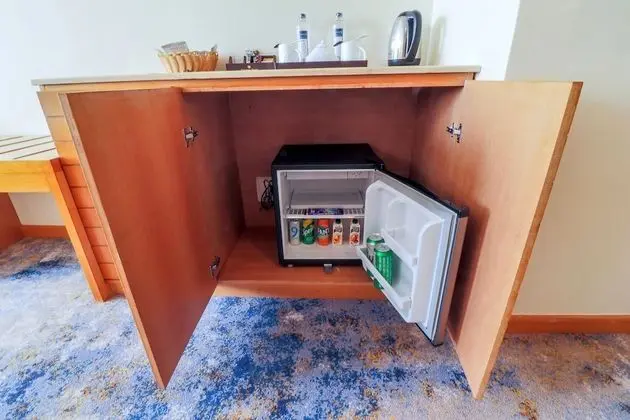 Deluxe Oda, 1 En Büyük (King) Boy Yatak, Şehir Manzaralı