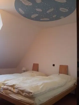 Junior Süit
