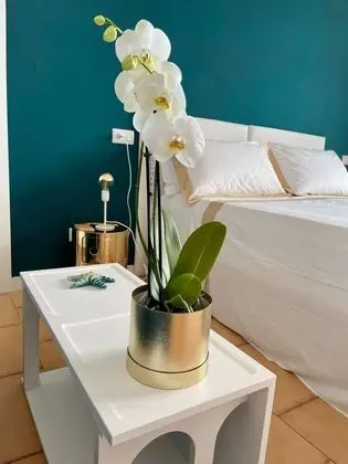 Oda, 1 Yatak Odası, Teras