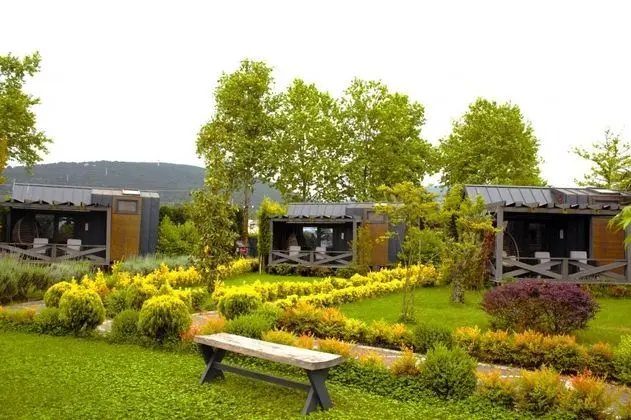 Asma Katlı Tiny House'lar