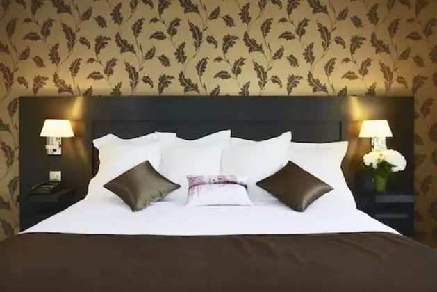 Tek Büyük Yataklı Oda (Privilege)