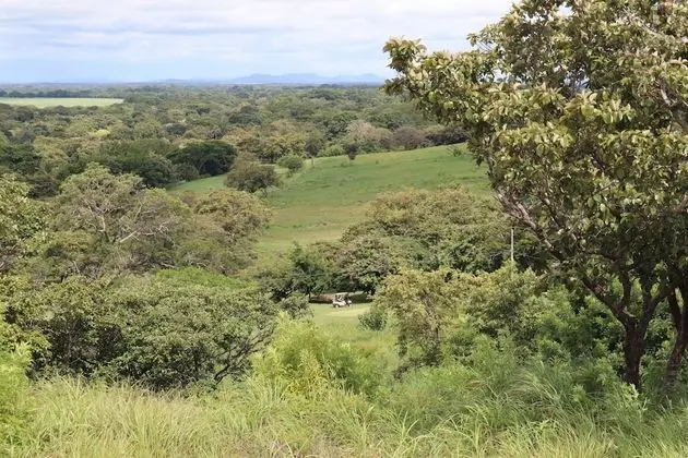 Ev, 2 Yatak Odası, Engellilere Uygun, Veranda