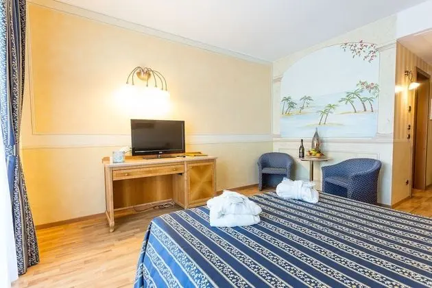 Superior Tek Büyük veya İki Ayrı Yataklı Oda, Balkon (or terrace)