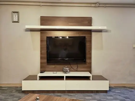 Television
