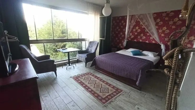 Deluxe Tek Büyük Yataklı Oda, 1 Büyük (Queen) Boy Yatak