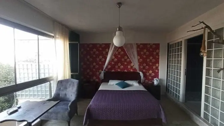 Deluxe Tek Büyük Yataklı Oda, 1 Büyük (Queen) Boy Yatak