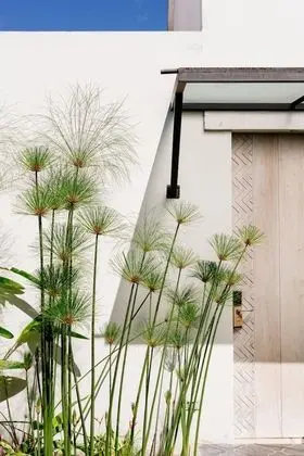 Tek Büyük veya İki Ayrı Yataklı Oda, Bahçe Manzaralı