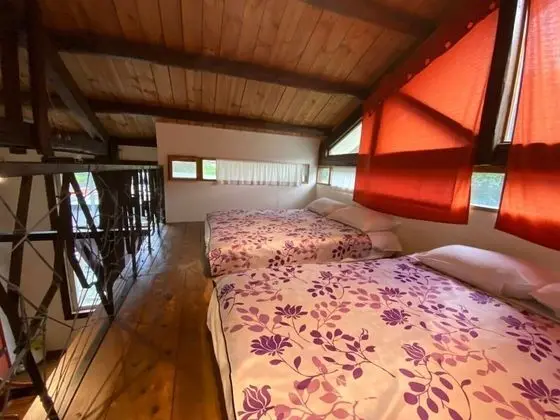 Basic Dört Kişilik Oda (Spring)