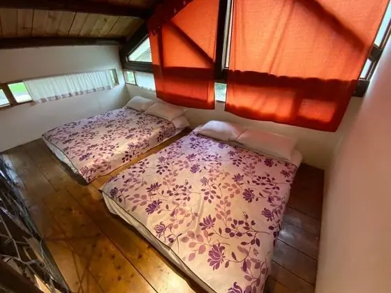 Basic Dört Kişilik Oda (Spring)