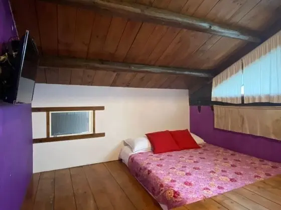 Comfort Tek Büyük Yataklı Oda (Winter)
