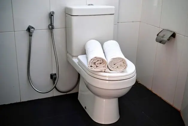 Deluxe Tek Büyük Yataklı Oda, Bahçe Manzaralı