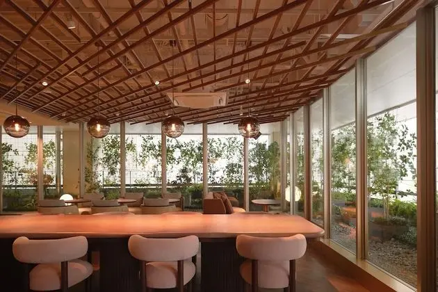 Luxury Süit (The Good Nature)