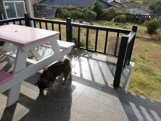 Standard Tek Kişilik Oda, 1 Çift Kişilik Yatak