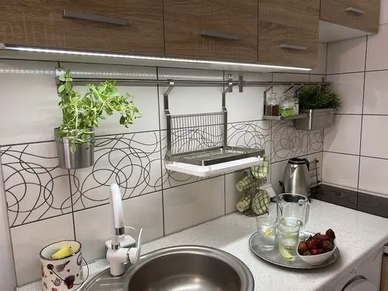 Classic Apart Daire, 1 Yatak Odası, Mutfak, Şehir Manzaralı (Birch Tree)