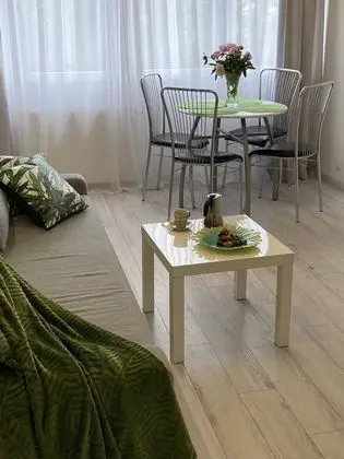 Classic Apart Daire, 1 Yatak Odası, Mutfak, Şehir Manzaralı (Birch Tree)