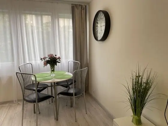 Classic Apart Daire, 1 Yatak Odası, Mutfak, Şehir Manzaralı (Birch Tree)