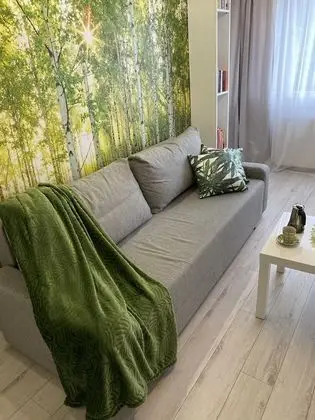 Classic Apart Daire, 1 Yatak Odası, Mutfak, Şehir Manzaralı (Birch Tree)