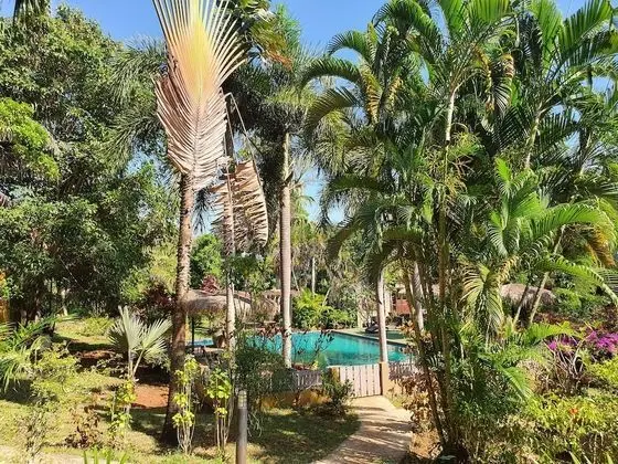 Garden View Suite