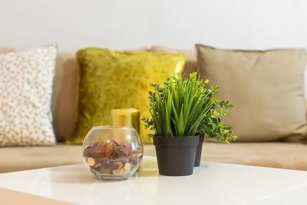 Apart Daire, Şehir Manzaralı