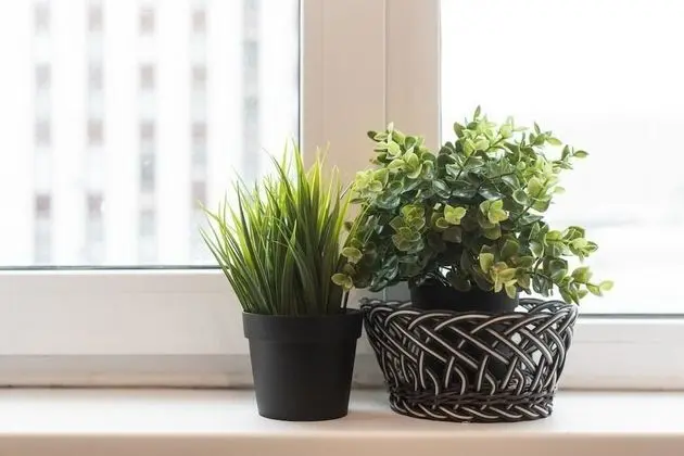 Apart Daire, Şehir Manzaralı