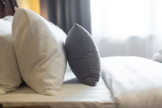 Apart Daire, Şehir Manzaralı