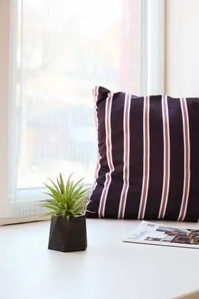 Basic Tek Büyük veya İki Ayrı Yataklı Oda