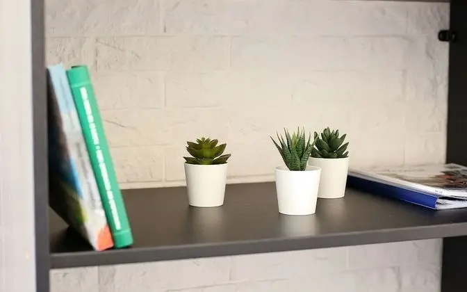 Basic Tek Büyük veya İki Ayrı Yataklı Oda