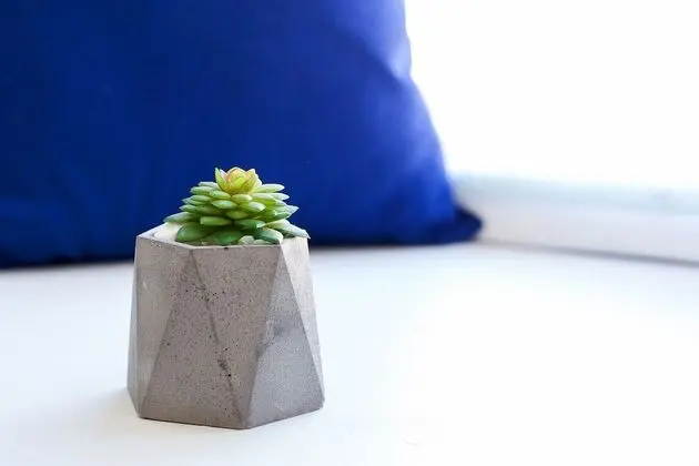 Basic Tek Büyük Yataklı Oda