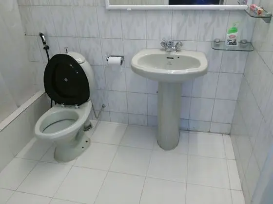 Traditional Tek Büyük Yataklı Oda, Bahçe Manzaralı, Bahçeli