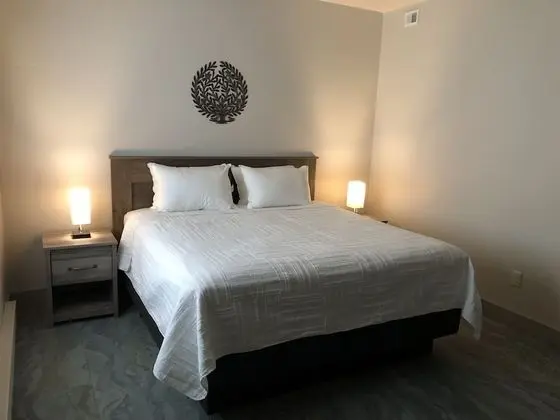 Deluxe Tek Büyük Yataklı Oda, 1 En Büyük (King) Boy Yatak, Sigara İçilmez