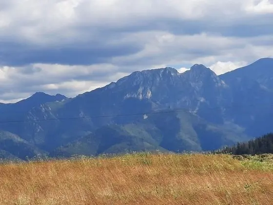 Deluxe Dağ Evi, Dağ Manzaralı