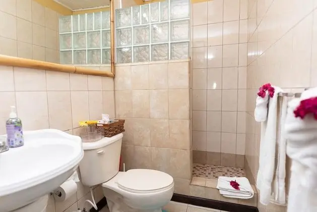 Comfort Stüdyo