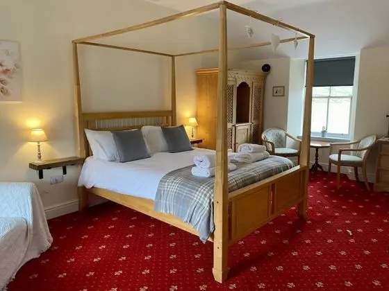 Superior Tek Büyük Yataklı Oda (Room1)