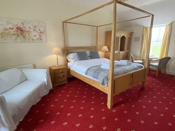 Superior Tek Büyük Yataklı Oda (Room1)