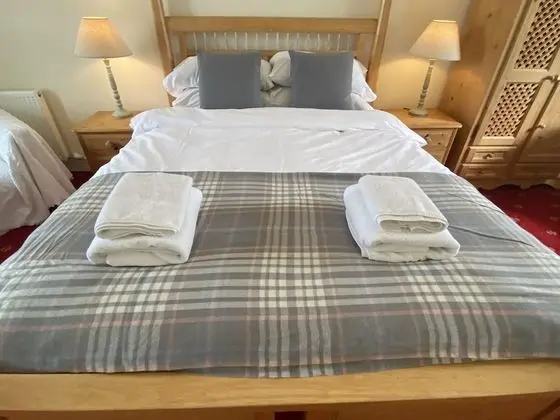 Superior Tek Büyük Yataklı Oda (Room1)