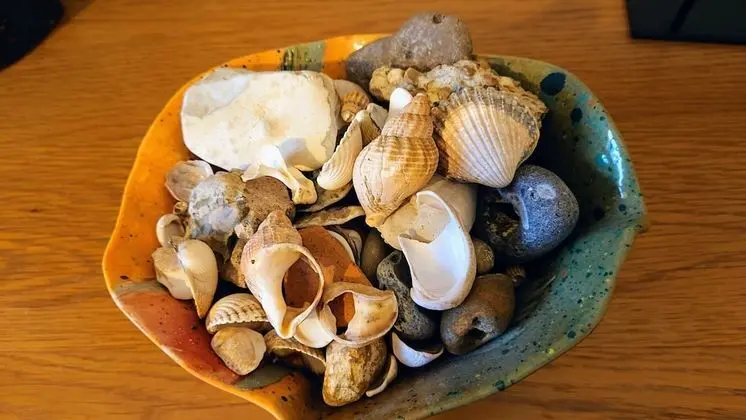 Ev, Birden Çok Yatak
