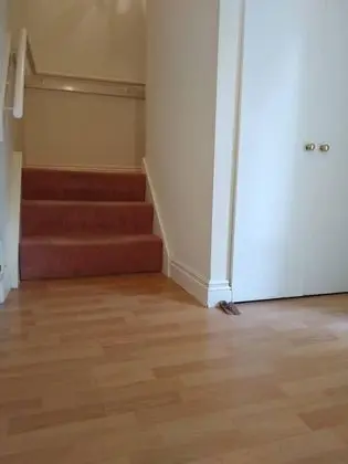 Apart Daire, Birden Çok Yatak