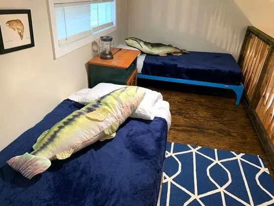 Comfort Kulübe