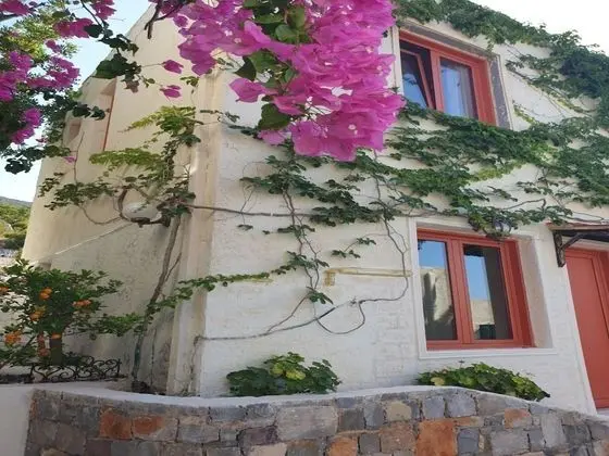 Oda, 1 Yatak Odası, Balkon