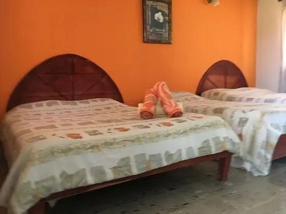 Family Üç Kişilik Oda, Havuz Manzaralı, Havuz Kenarı